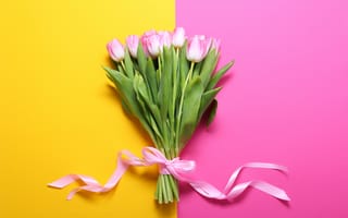 Картинка цветы, pink, букет, тюльпаны, tulips, flowers
