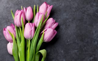 Картинка цветы, букет, flowers, spring, pink, тюльпаны, bouquet, tulips