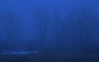 Картинка снег, деревья, весна, природа, туман, Россия, сумерки, вечер