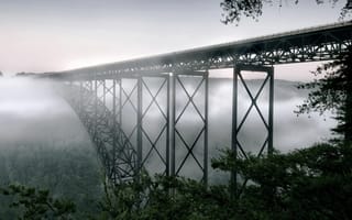 Картинка лес, небо, США, высота, USA, пейзаж, туман, природа