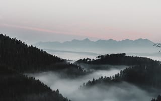 Картинка лес, небо, горизонт, пейзаж, туман, рассвет, горы, природа