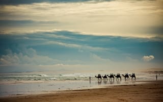 Картинка пейзаж, Караван, небо, море, верблюды, горизонт, берег, люди, волны, тучи, песок