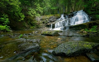 Картинка лес, природа, водопад, река
