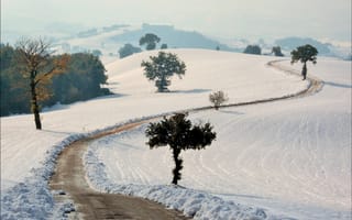 Картинка дорога, снег, поле, пейзаж