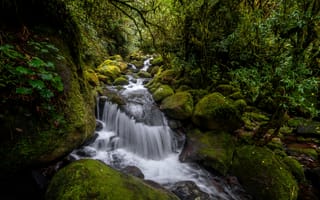 Картинка лес, природа, водопад, река