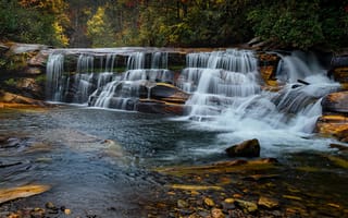 Картинка лес, природа, река, водопад