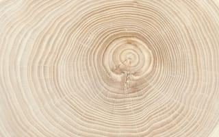 Картинка texture, circles, timber, pattern, ring, old, tree