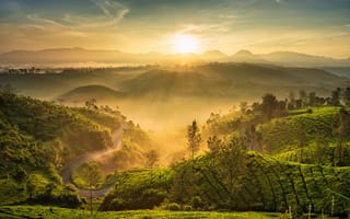 Картинка NATURE, LANDSCAPE, INDONESIA, SUNRISE, VIEW, MORNING, MOUNTAIN, GREEN
