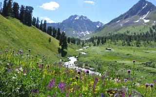 Картинка Природа, Горы, Mountains, Алтай, Altai, Nature