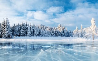 Картинка лед, зима, лес, природа, снег, небо, пейзаж, облака