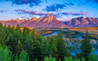 Картинка лес, горы, США, парки, Grand Teton National Park