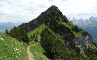 Картинка лес, небо, природа, деревья, скала, высота, пейзаж, облака