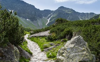 Картинка небо, облака, деревья, скалы, горы, пейзаж, растения, природа