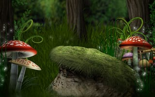 Картинка Magic, мухоморы, mushroom, трава, лес, папоротники, forest, грибы