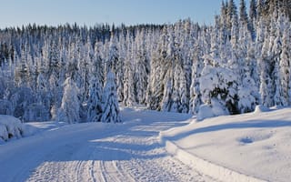 Картинка зима, дорога, природа, снег, лес, небо, деревья, пейзаж