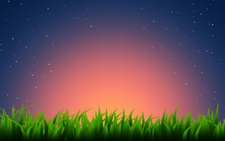 Картинка трава, закат, звезды