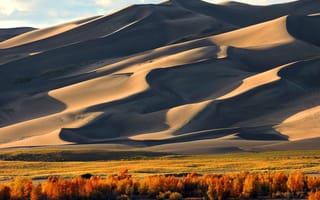 Картинка песок, поле, деревья, пейзаж, пустыня, природа, осень, небо
