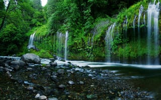 Картинка камни, falls, waterfals, Mossbrae, США, вода, калифорния, водопад, деревья, USA, California, nature