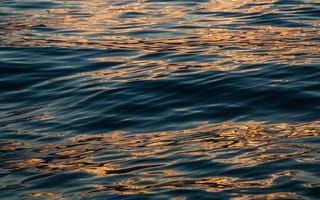 Картинка море, волны, отражение солнца, водная гладь