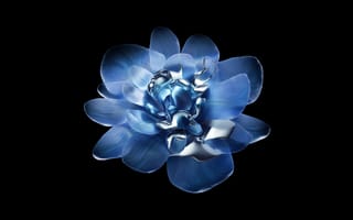 Картинка Flowers, Metallic, Black, Abstract flower