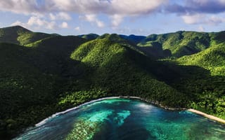 Картинка forest, sea, bay, nature, coral, coast, landscape, clouds