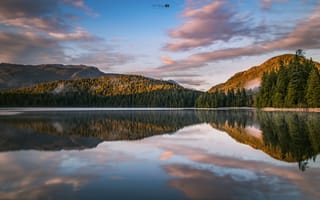 Картинка лес, пейзаж, природа, горы, озеро, отражение