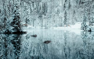 Картинка зима, лес, природа, пейзаж, снег, озеро
