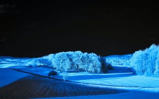 Картинка field, blue, serenity, starry, night