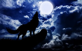 Картинка concept, moon, wolf, sky, animal, blue, night