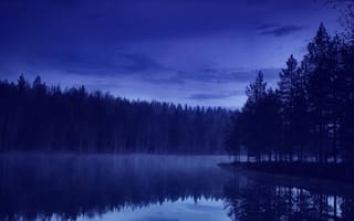 Картинка лес, облака, деревья, природа, ночь, пейзаж, forest, озеро
