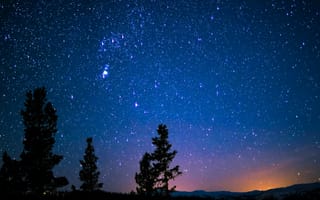 Картинка лес, деревья, горизонт, ночь, природа, свечение, пейзаж, forest