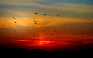 Картинка пейзаж, закат, кровавое небо, природа