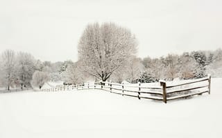 Обои ёлки, пейзаж, деревья, ели, забор, зима, ограда, деревянный, природа, снег