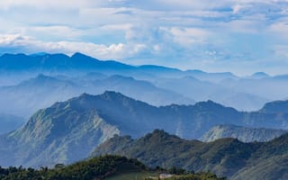 Картинка tree, tea, taiwan, alishan taiwan, tropical, taiwan landscape, asian mountain, sky valley