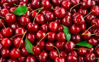 Картинка berry, fresh, cherry, food, closeup