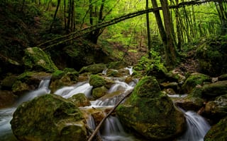 Картинка лес, природа, камни, ручей, река