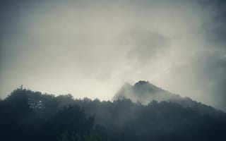 Картинка лес, небо, пейзаж, туман, горы, облака, деревья, природа