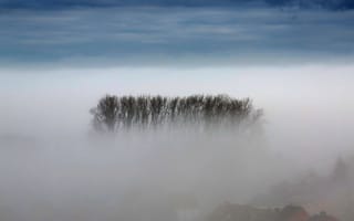 Картинка небо, облака, сумерки, пейзаж, горизонт, деревья, природа, туман