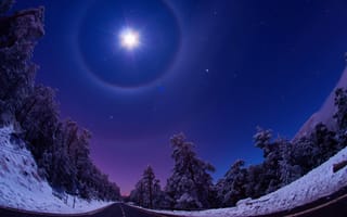 Картинка зима, дорога, снег, звезды, небо, лес, пейзаж, деревья