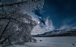 Картинка зима, лес, звезды, деревья, облака, пейзаж, небо, снег