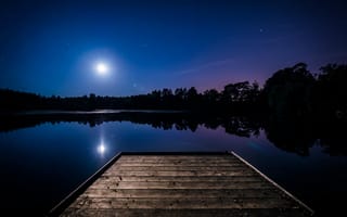 Картинка лес, небо, природа, ночь, деревья, пейзаж, озеро, луна