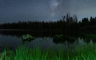 Картинка лес, небо, деревья, пейзаж, ночь, трава, озеро, природа