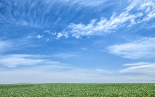 Картинка поле, небо, grass, трава, природа, горизонт, пейзаж, облака