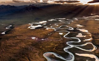 Картинка Аляска, USA, Арктическая дикая природа, Brooks Range, США, Alaska, Arctic Wildlife, заповедник