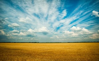 Картинка поле, небо, природа, облака, sky, field, пейзаж, горизонт