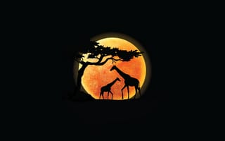 Картинка Sunset, Minimal, Giraffe, Silhouette, Black, Minimalist