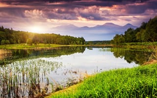 Картинка лес, небо, облака, трава, закат, деревья, пейзаж, солнце