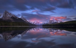Картинка лес, небо, облака, закат, деревья, пейзаж, природа, горы