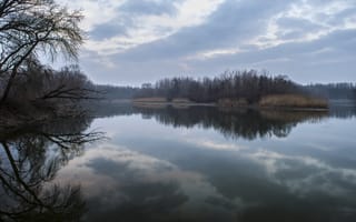 Картинка лес, небо, горизонт, деревья, природа, облака, озеро, пейзаж