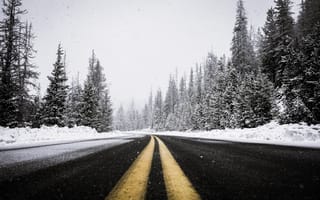 Картинка зима, дорога, деревья, облака, лес, небо, снег, асфальт